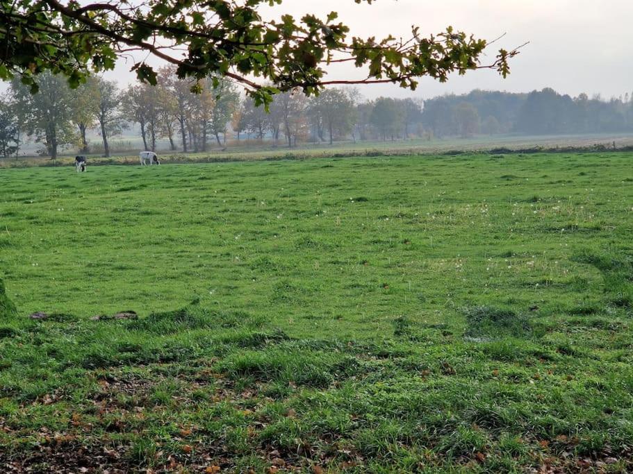 Gemuetliche Wohnung Direkt Am Kuestenkanal! Wardenburg Екстер'єр фото